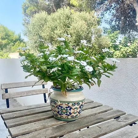 Margherita Aparthotel *
